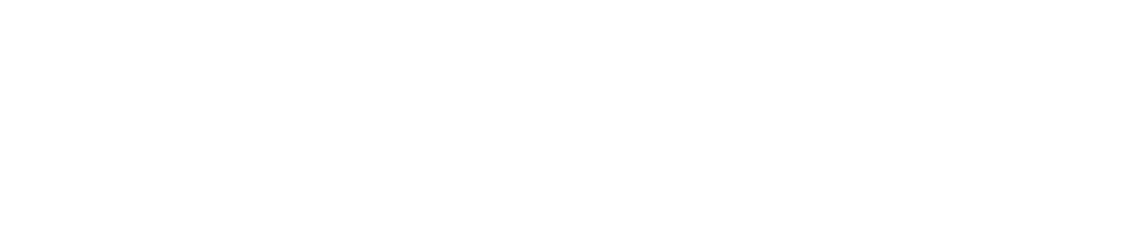 Logotipo Prime Insurance